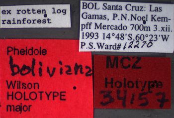 Media type: image;   Entomology 34157 Aspect: labels